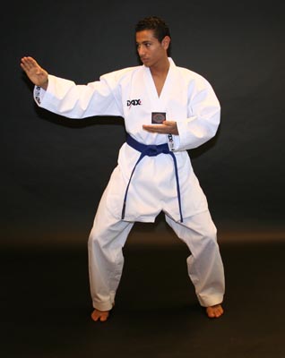 Taekwondo Anzge Fortgeschritten